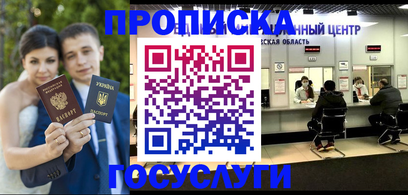 прописка штамп в Вельске